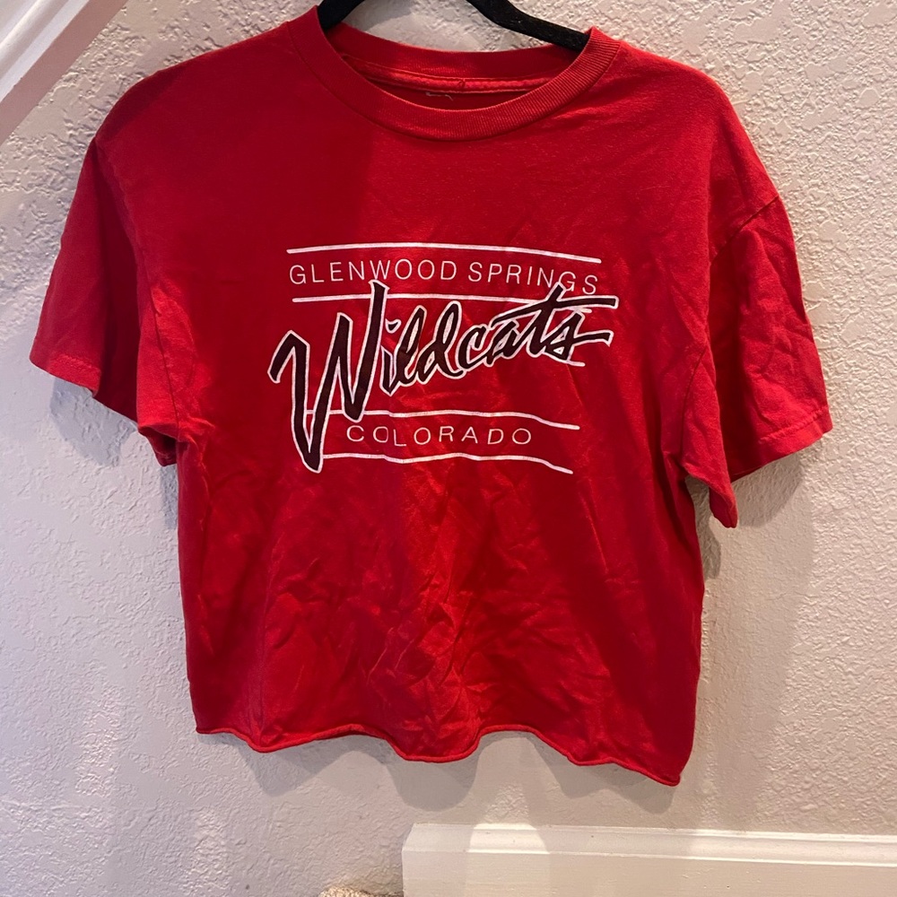 Brandy melville cropped tee